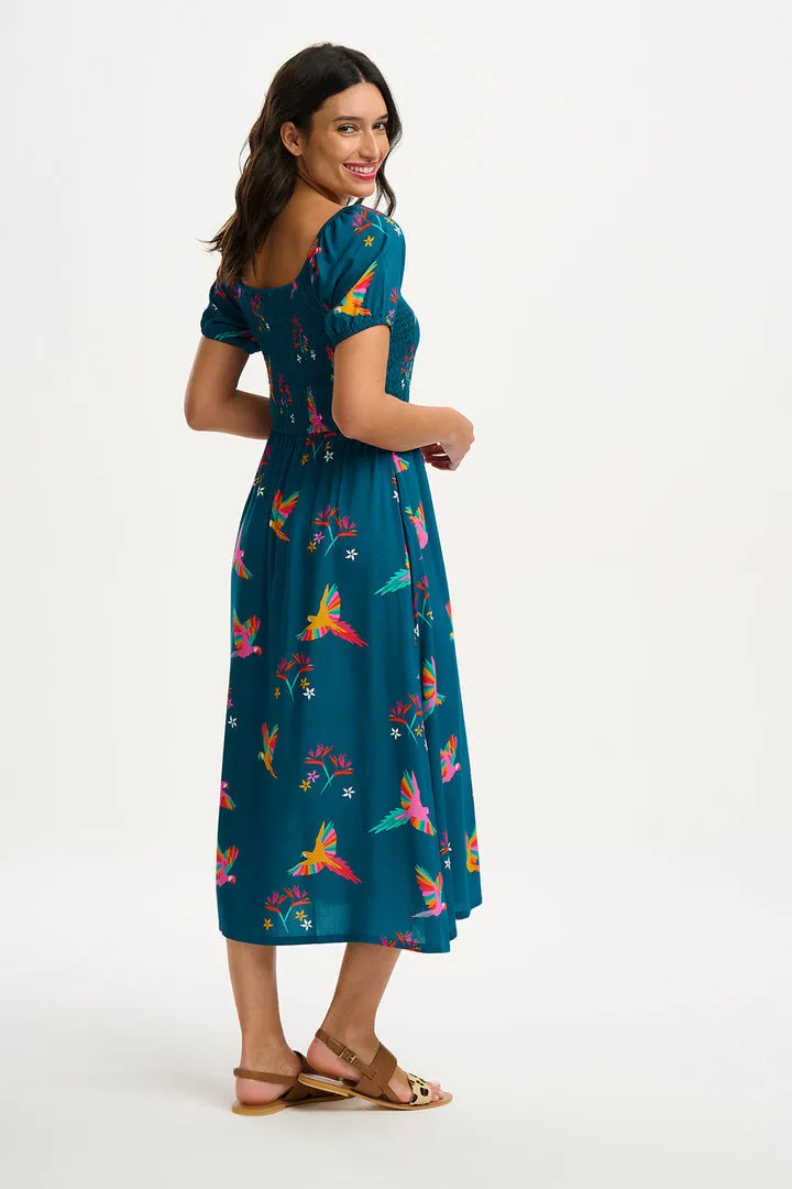 Sugarhill Brighton Jolene Teal Rainbow Parrots Midi Shirred Dress